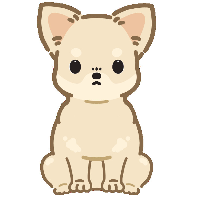 チワワ スムース イラスト