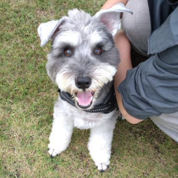 オーダーメイド作例1