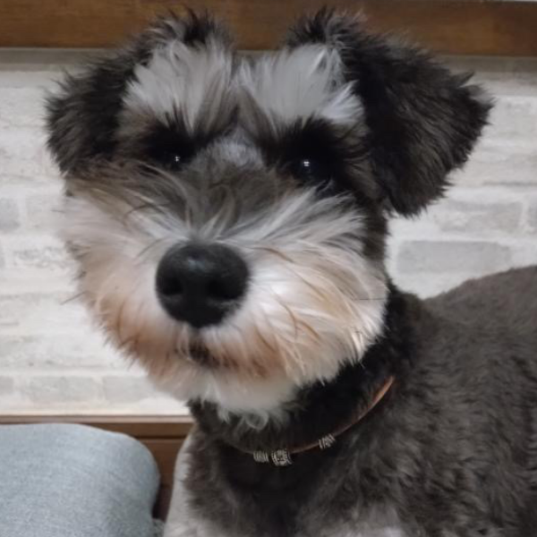 オーダーメイド作例3