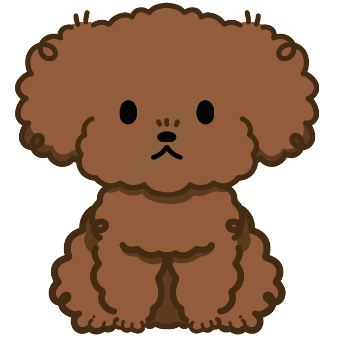 プードル ブラウン イラスト